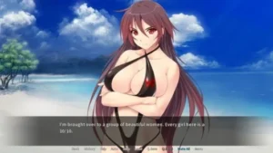 Big Dick at the Beach free Download PC Game