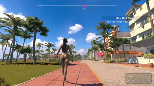Wet beach adventure Download